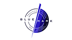 BlueMark Practice Leader